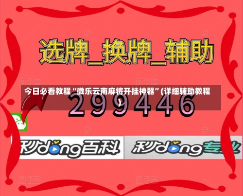 今日必看教程“微乐云南麻将开挂神器”(详细辅助教程)-第2张图片