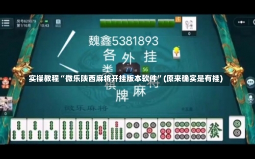 实操教程“微乐陕西麻将开挂版本软件”(原来确实是有挂)-第2张图片