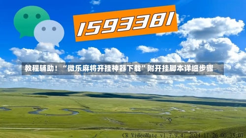 教程辅助！“微乐麻将开挂神器下载	”附开挂脚本详细步骤-第2张图片