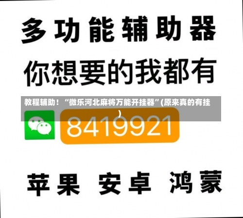 教程辅助！“微乐河北麻将万能开挂器	”(原来真的有挂)-第2张图片