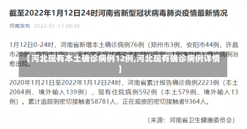 【河北现有本土确诊病例12例,河北现有确诊病例详情】-第2张图片