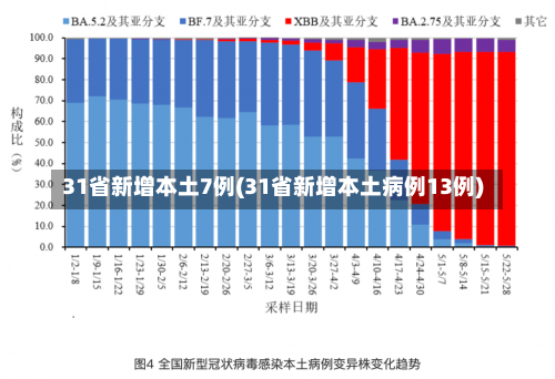 31省新增本土7例(31省新增本土病例13例)-第2张图片