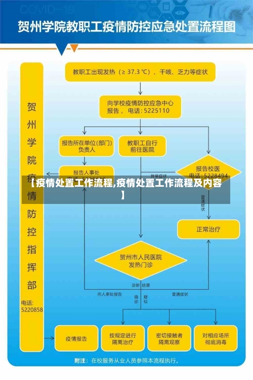 【疫情处置工作流程,疫情处置工作流程及内容】-第1张图片