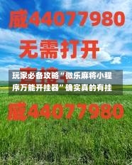 玩家必备攻略“微乐麻将小程序万能开挂器”确实真的有挂-第1张图片