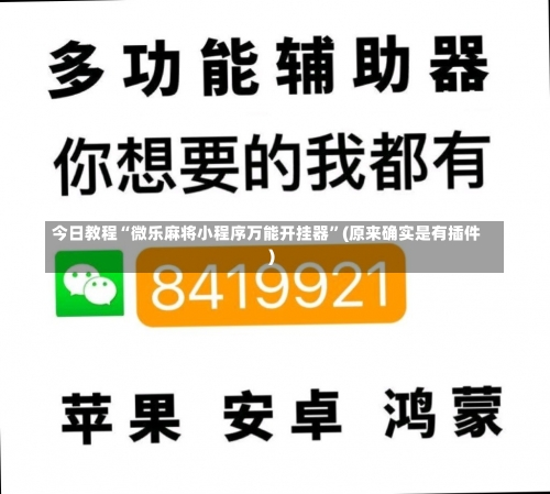 今日教程“微乐麻将小程序万能开挂器	”(原来确实是有插件)-第1张图片