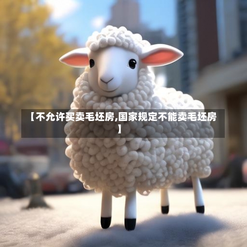 【不允许买卖毛坯房,国家规定不能卖毛坯房】-第1张图片