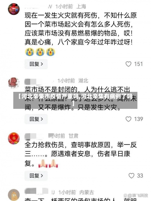 【河北辛集市疫情严重吗,河北辛集有病例了吗】-第1张图片