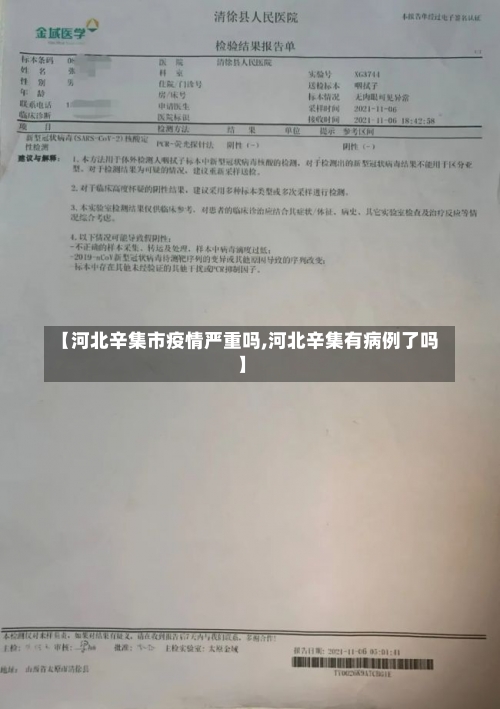 【河北辛集市疫情严重吗,河北辛集有病例了吗】-第3张图片