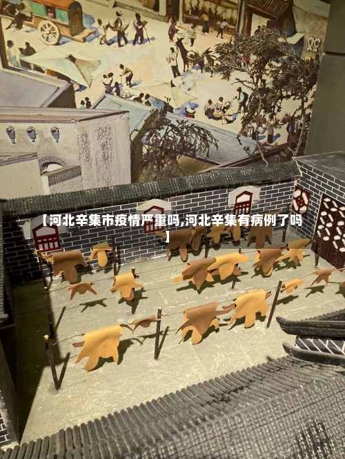 【河北辛集市疫情严重吗,河北辛集有病例了吗】-第2张图片