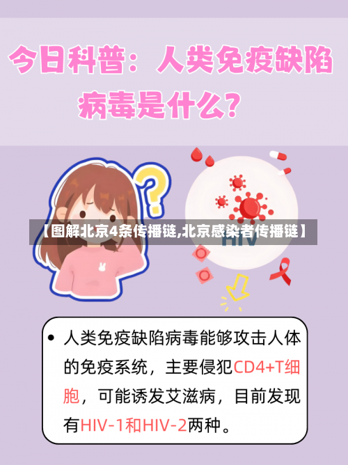 【图解北京4条传播链,北京感染者传播链】-第3张图片