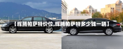 【辉腾帕萨特价位,辉腾帕萨特多少钱一辆】-第3张图片