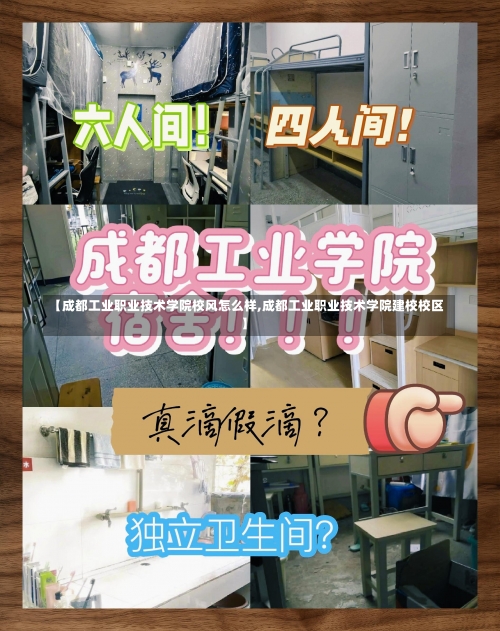 【成都工业职业技术学院校风怎么样,成都工业职业技术学院建校校区】-第3张图片
