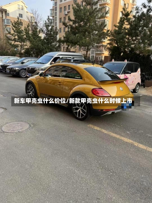 新车甲壳虫什么价位/新款甲壳虫什么时候上市-第1张图片