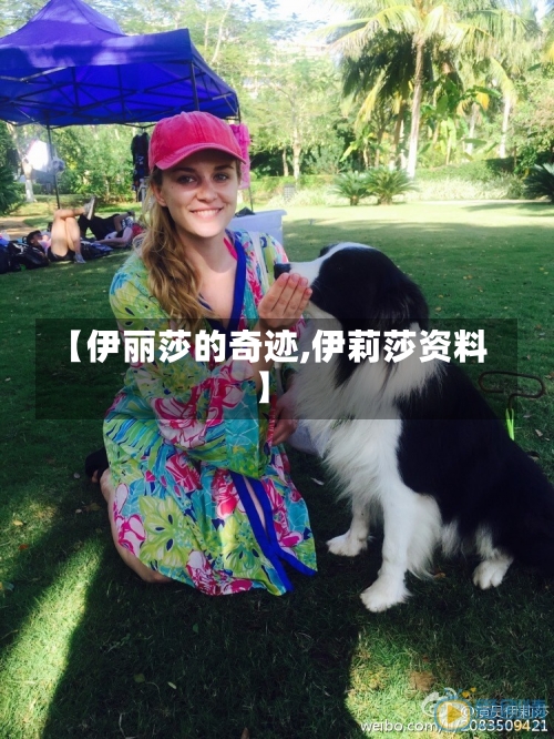 【伊丽莎的奇迹,伊莉莎资料】-第2张图片