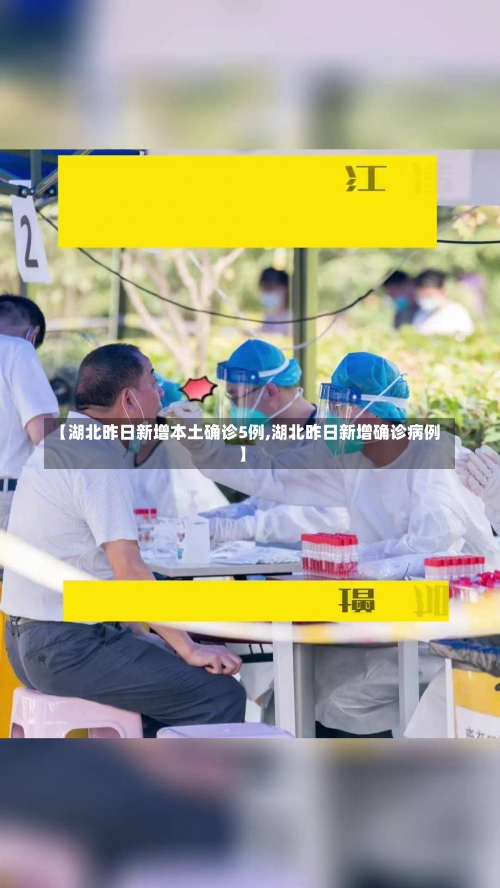 【湖北昨日新增本土确诊5例,湖北昨日新增确诊病例】-第1张图片