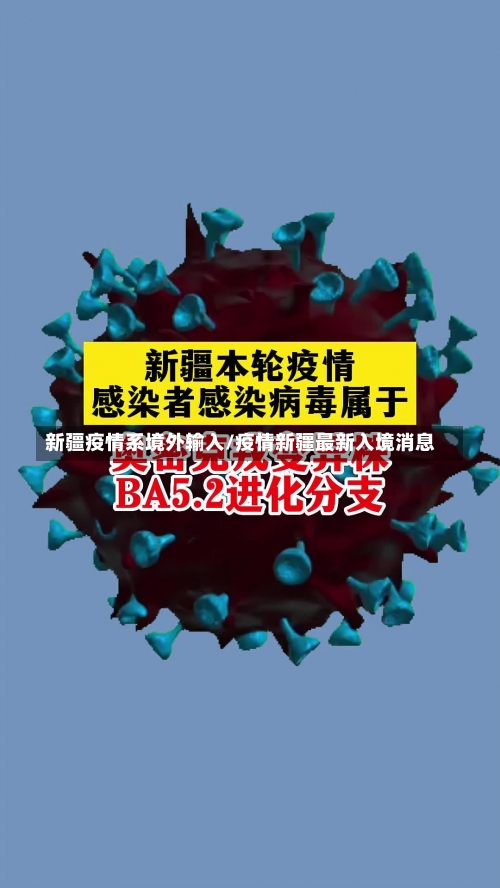 新疆疫情系境外输入/疫情新疆最新入境消息-第3张图片