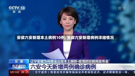 安徽六安新增本土病例10例/安徽六安新增病例详细情况-第2张图片