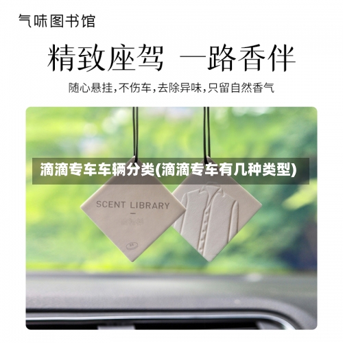 滴滴专车车辆分类(滴滴专车有几种类型)-第2张图片
