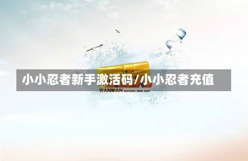 小小忍者新手激活码/小小忍者充值-第1张图片