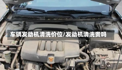 车辆发动机清洗价位/发动机清洗贵吗-第2张图片