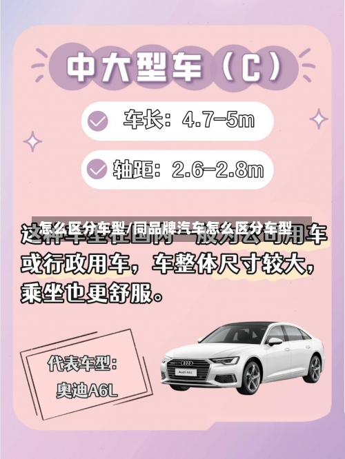 怎么区分车型/同品牌汽车怎么区分车型-第1张图片
