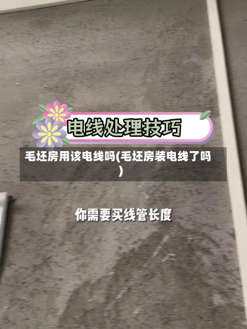 毛坯房用该电线吗(毛坯房装电线了吗)-第2张图片