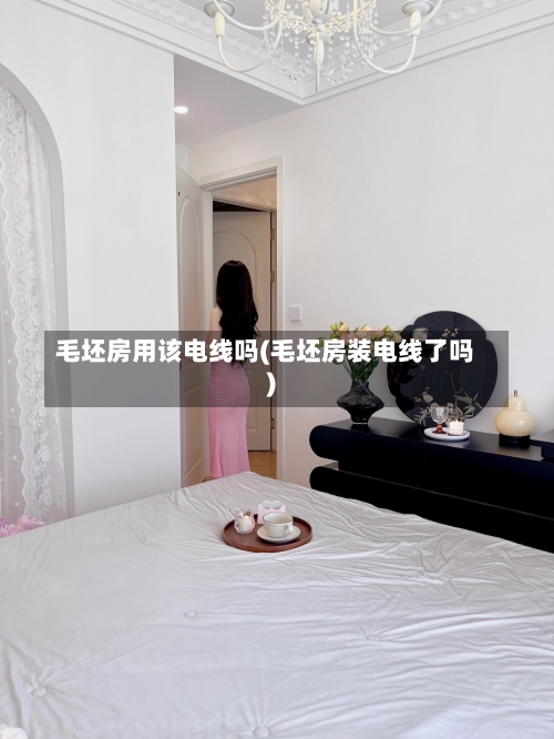 毛坯房用该电线吗(毛坯房装电线了吗)-第1张图片