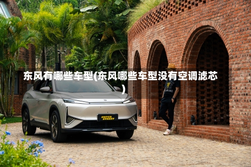 东风有哪些车型(东风哪些车型没有空调滤芯)-第1张图片