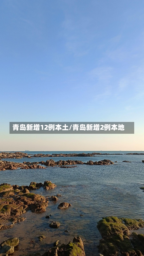 青岛新增12例本土/青岛新增2例本地-第2张图片