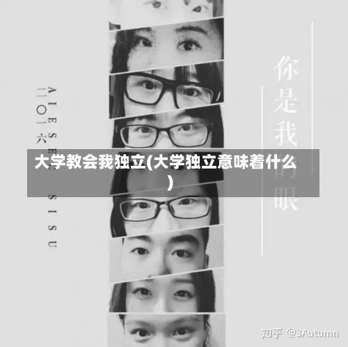 大学教会我独立(大学独立意味着什么)-第1张图片