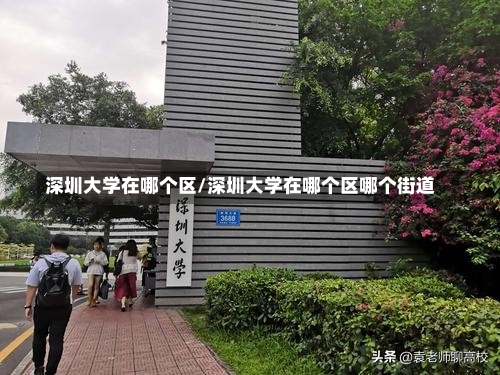 深圳大学在哪个区/深圳大学在哪个区哪个街道-第1张图片