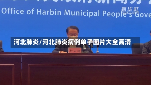 河北肺炎/河北肺炎病例单子图片大全高清-第1张图片