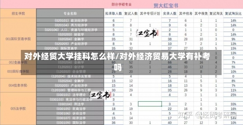 对外经贸大学挂科怎么样/对外经济贸易大学有补考吗-第1张图片