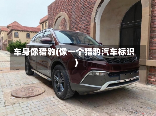 车身像猎豹(像一个猎豹汽车标识)-第2张图片