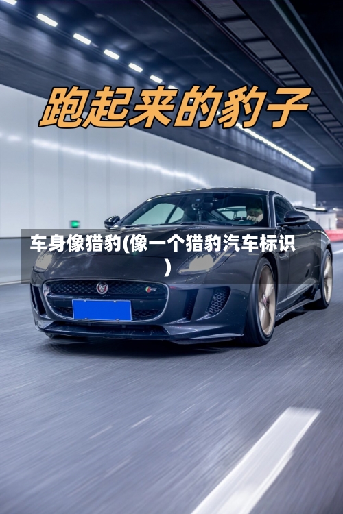 车身像猎豹(像一个猎豹汽车标识)-第1张图片