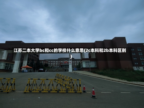 江苏二本大学bc和cc的学校什么意思(2c本科和2b本科区别)-第1张图片
