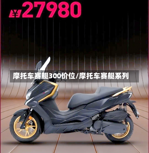 摩托车赛艇300价位/摩托车赛艇系列-第2张图片