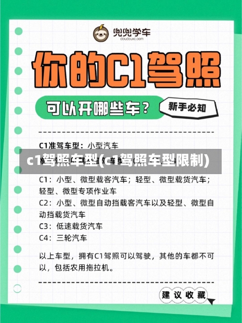 c1驾照车型(c1驾照车型限制)-第1张图片