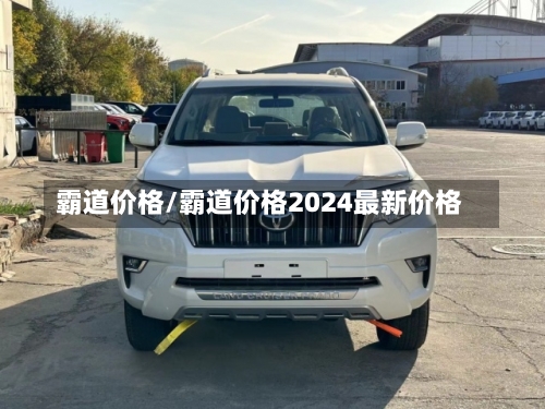 霸道价格/霸道价格2024最新价格-第1张图片