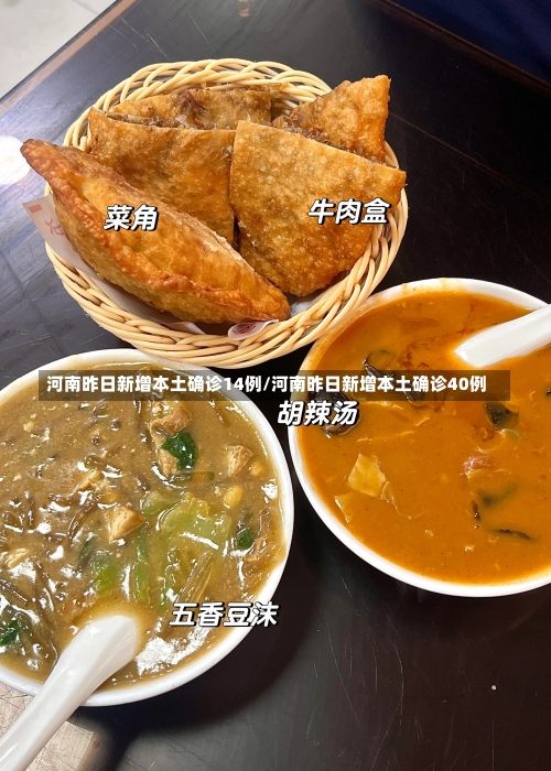 河南昨日新增本土确诊14例/河南昨日新增本土确诊40例-第2张图片